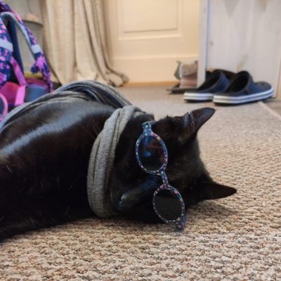 Kater